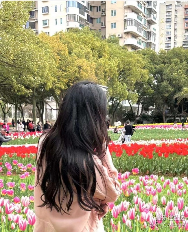 【春日尋花】賞郁季