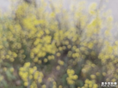 專業(yè)模式拍的