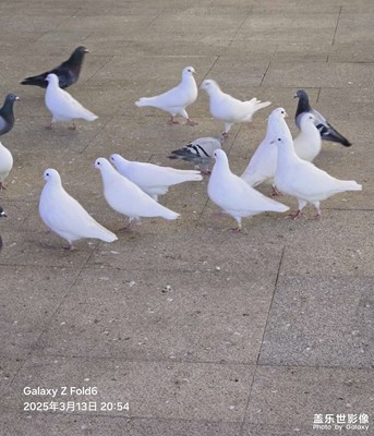 【隨拍分享】隨手拍