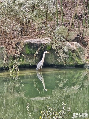 【好春光】三月絮語