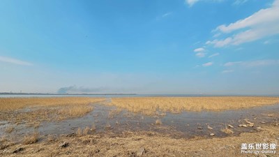 【好春光】+閑暇時光