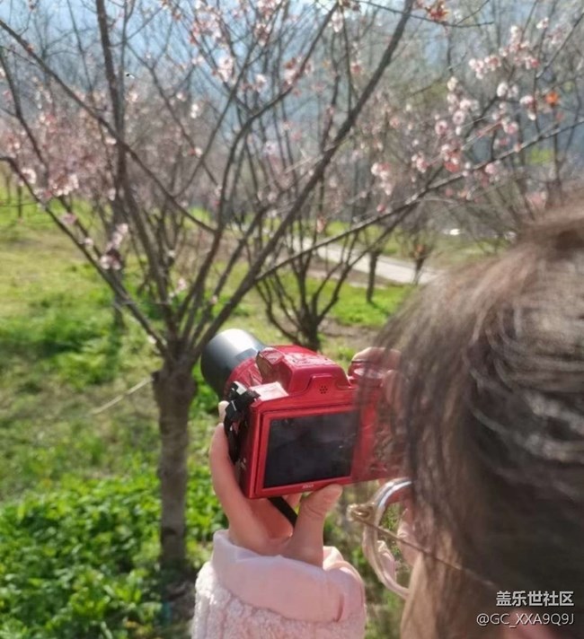 【春日尋花】春光明媚