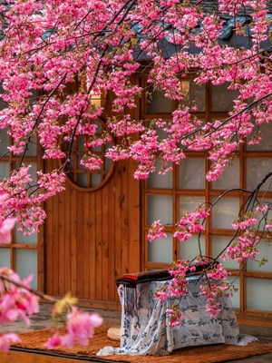 Galaxy S25 Ultra好春光