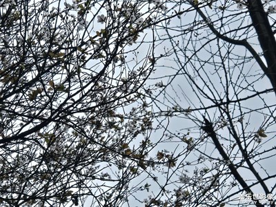 【好春光】+春天時光