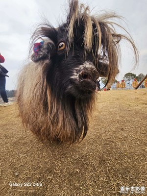 【好春光】+春光十足