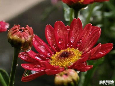 【好春光】春雨綿綿