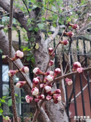 【好春光】+萬物復(fù)蘇