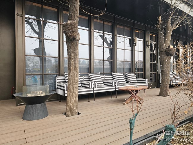 【春日序曲】室外抓拍