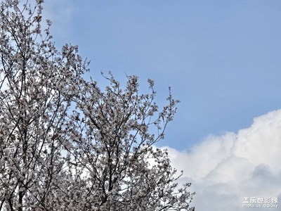 【好春光】+春游