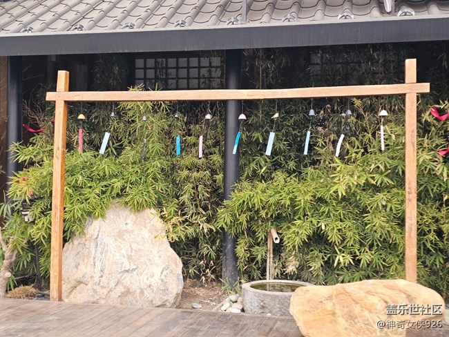 【春日序曲】室外抓拍