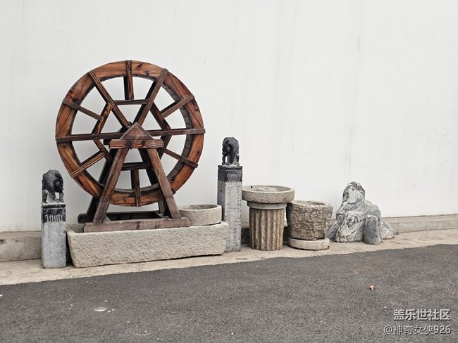 【春日序曲】室外抓拍