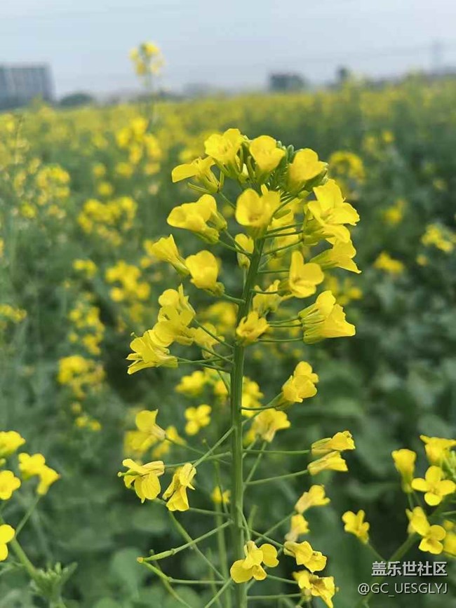 【時間在此刻靜止】尋蹤春日，邂逅多元之美