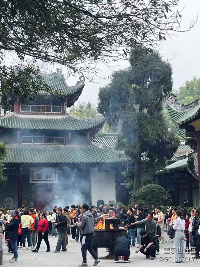 【時間在此刻靜止】尋蹤春日，邂逅多元之美