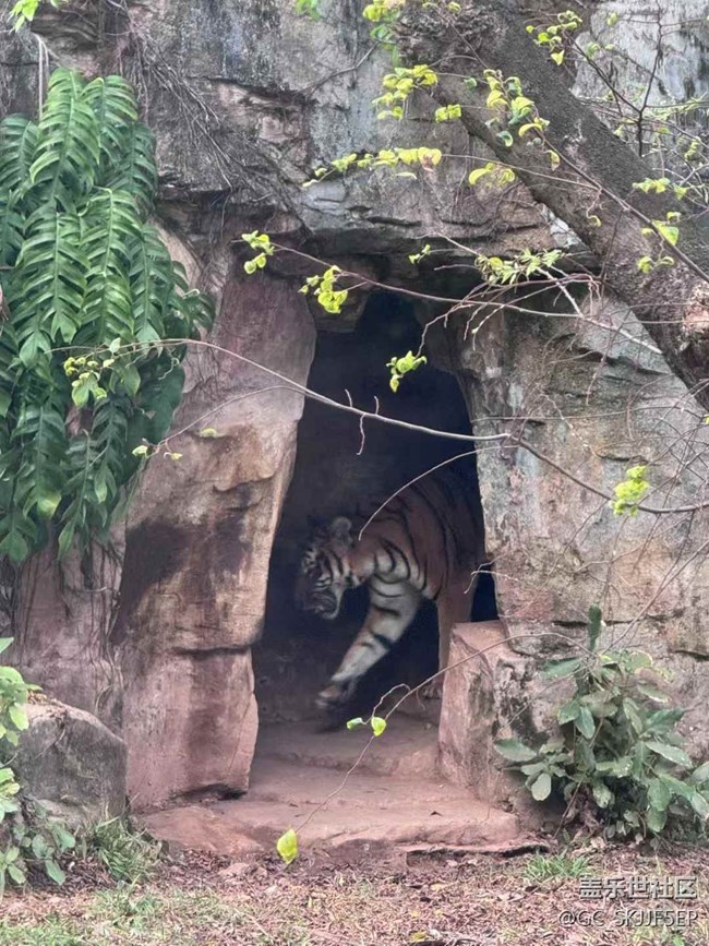 【時(shí)間在此刻靜止】探秘自然與萌趣之旅