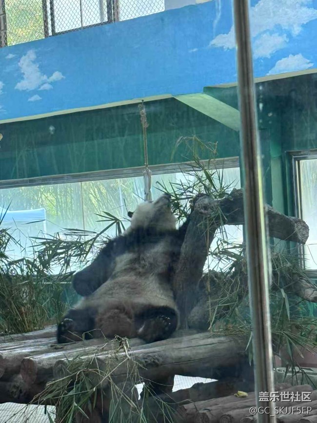 【時(shí)間在此刻靜止】探秘自然與萌趣之旅