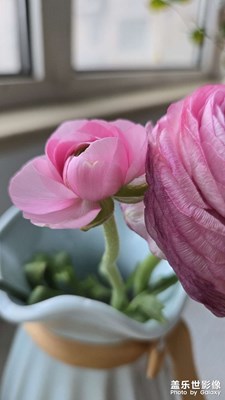 怎么加上相機(jī)內(nèi)容(′?_?`)