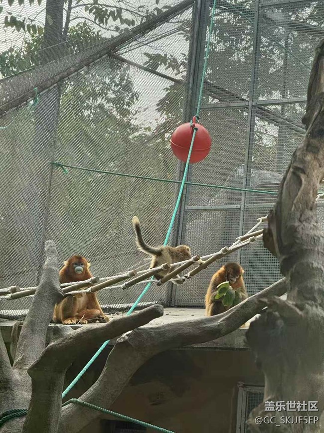 【時(shí)間在此刻靜止】探秘自然與萌趣之旅