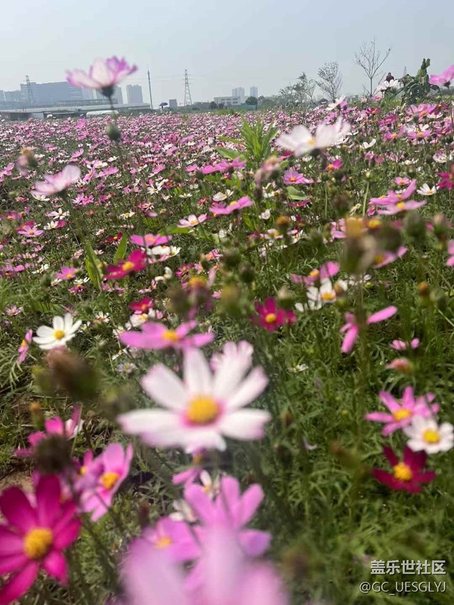 【時間在此刻靜止】尋蹤春日，邂逅多元之美