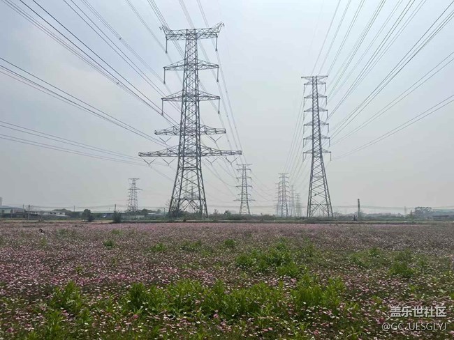 【時間在此刻靜止】尋蹤春日，邂逅多元之美