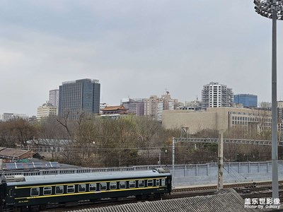 【好春光】春日賞花