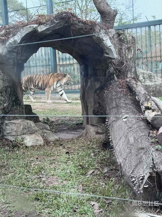 【時(shí)間在此刻靜止】探秘自然與萌趣之旅