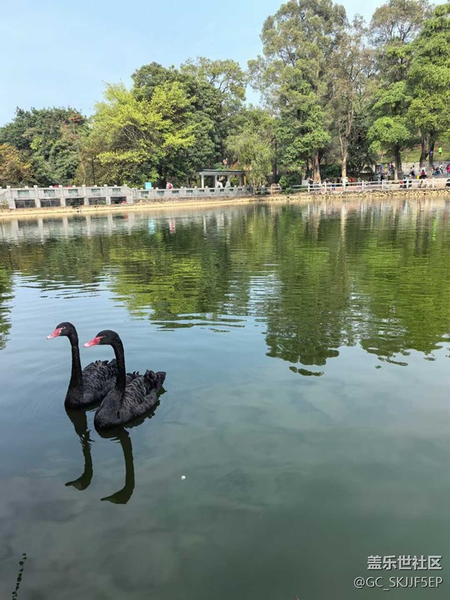 【時(shí)間在此刻靜止】探秘自然與萌趣之旅