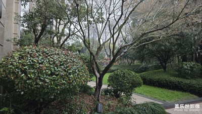 【好春光】+春雨好景