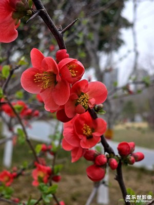 春天來了，萬物復(fù)蘇