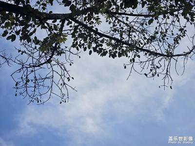 【好春光】尋春