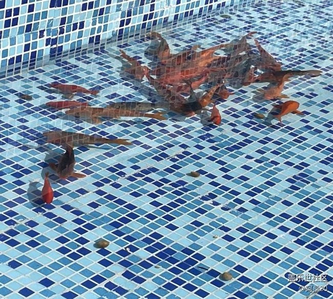 【Galaxy影像】#尋年味+放假時候