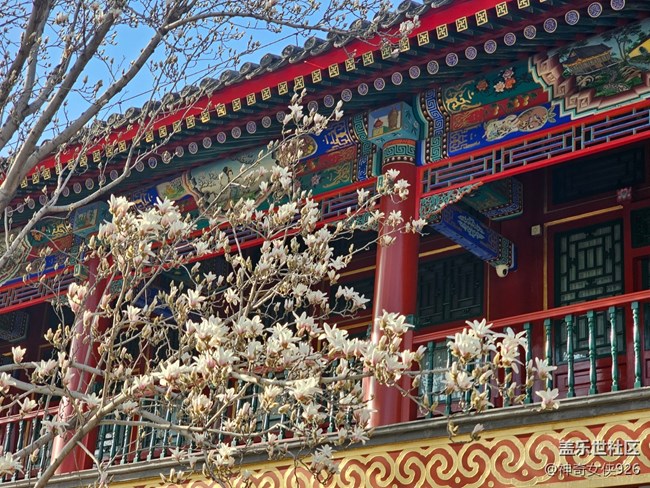 【春日序曲】玉蘭倚樓醉