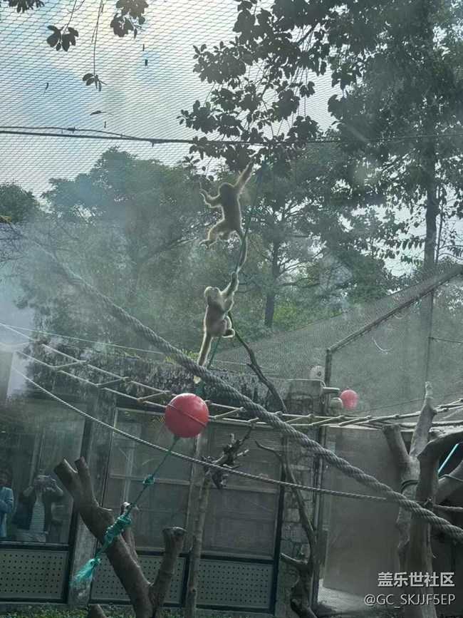 【時(shí)間在此刻靜止】探秘自然與萌趣之旅