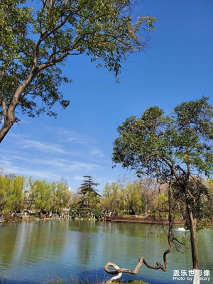 【好春光】+ 游興慶宮