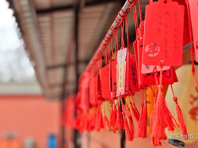 【時(shí)間在此刻靜止】+靜