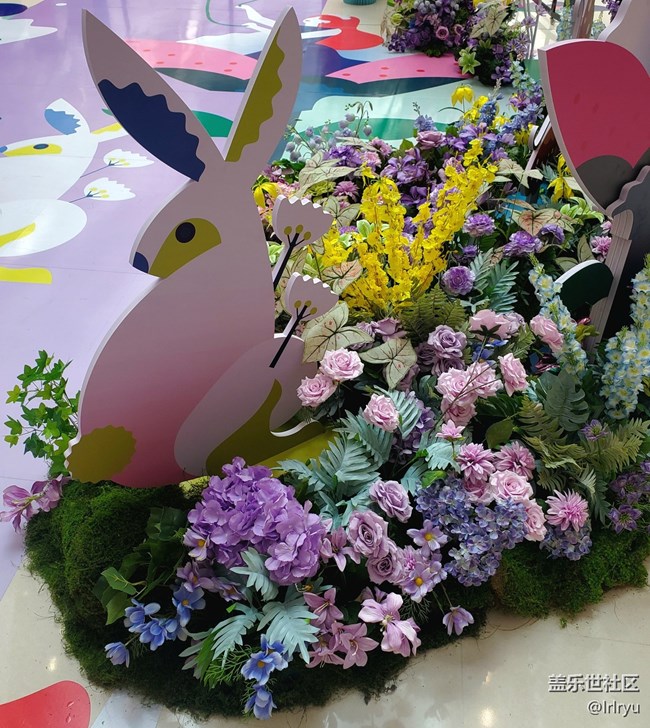 【閑暇時光與我的galaxy】室內(nèi)的春日氛圍