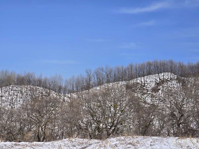 【好春光】+萬(wàn)遇見(jiàn)春雪