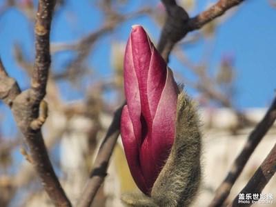 【好春光】+萬物復(fù)蘇