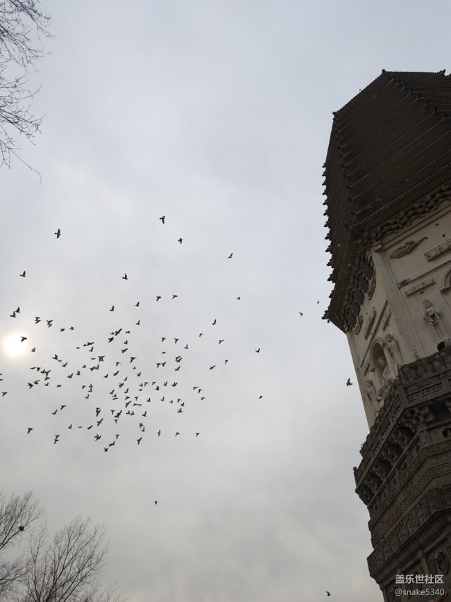 【時(shí)間在此刻靜止】+靜