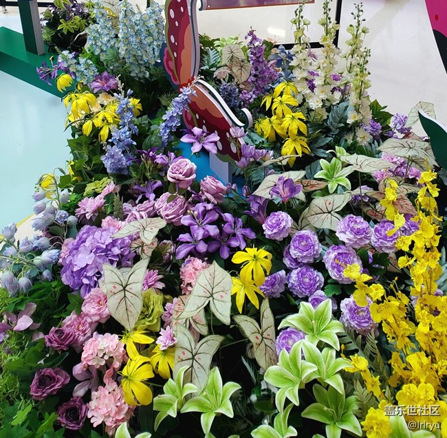 【閑暇時光與我的galaxy】室內(nèi)的春日氛圍