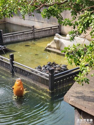 【好春光】+佛山祖廟