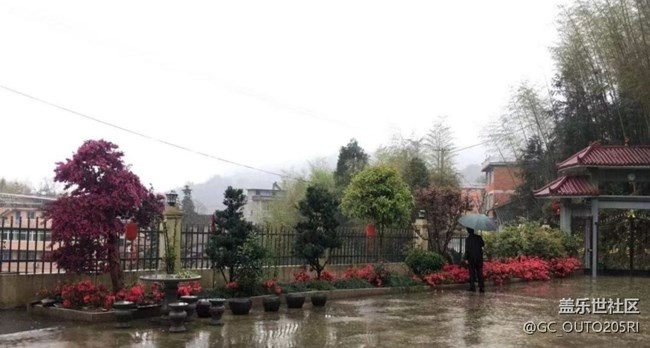 【春日尋花】雨后