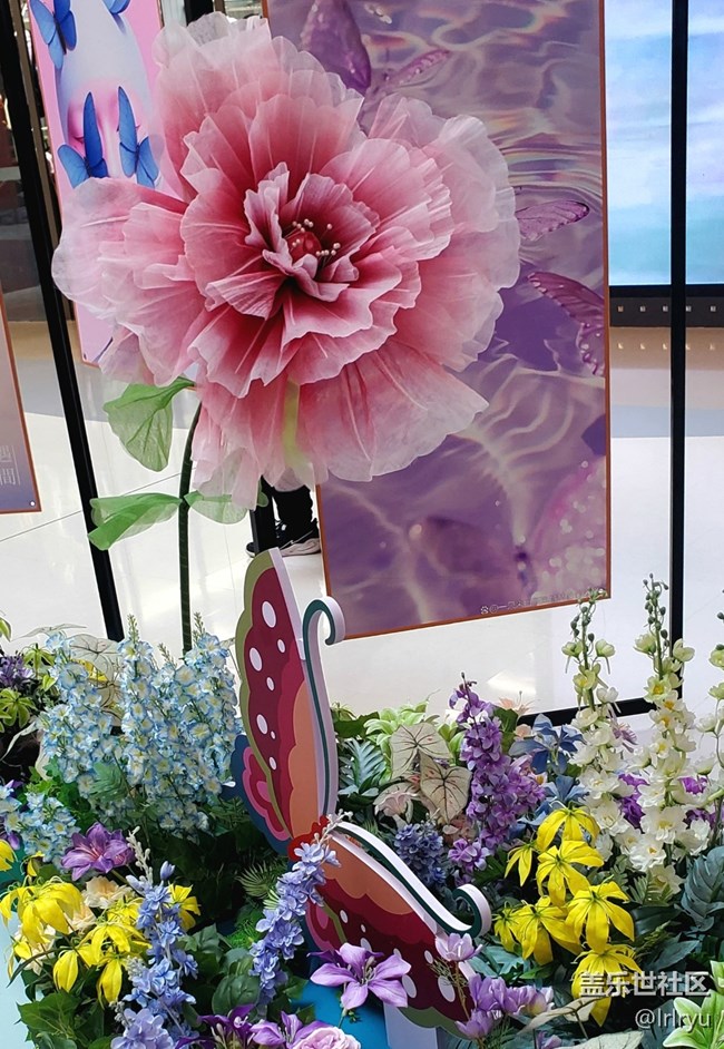 【閑暇時光與我的galaxy】室內(nèi)的春日氛圍