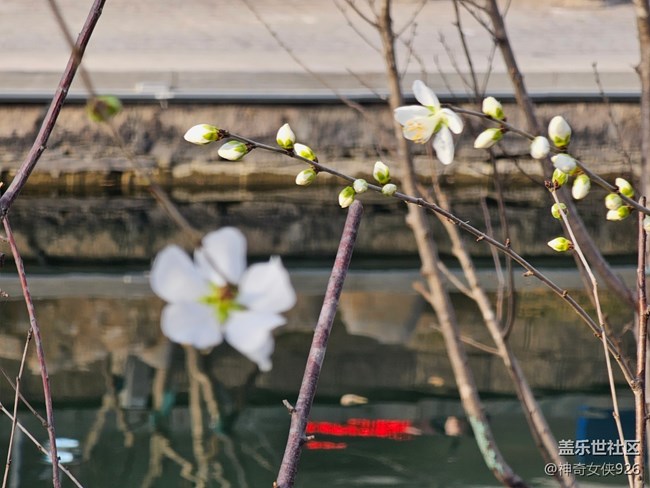 【春日序曲】湖邊