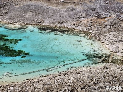 【好春光】+歡迎春天