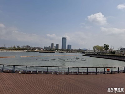 【好春光】日常遛狗