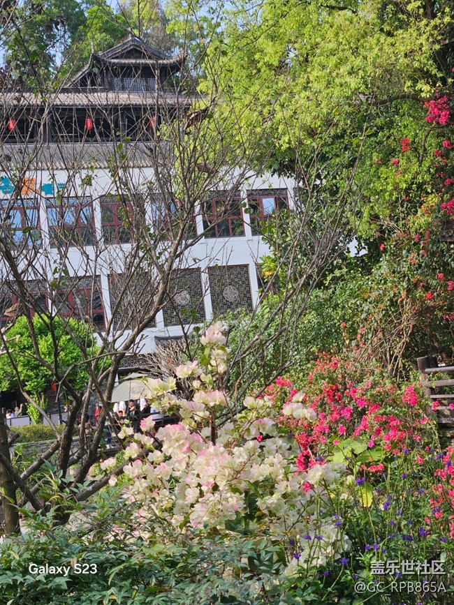 【活動回顧】古鎮(zhèn)尋梅