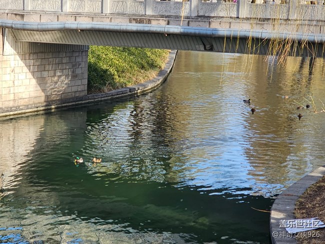【春日序曲】悠閑春日