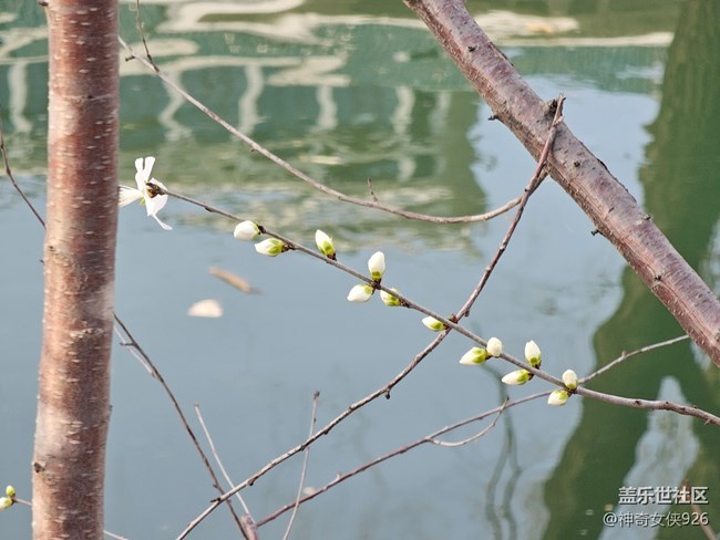 【春日序曲】湖邊