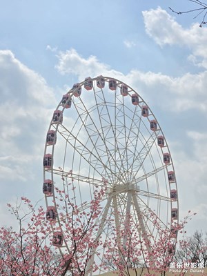 2025櫻花之約