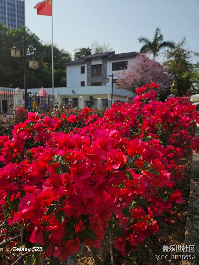 【活動回顧】古鎮(zhèn)尋梅